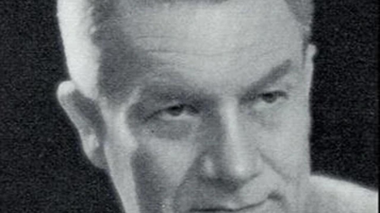 Wolff Schoemaker