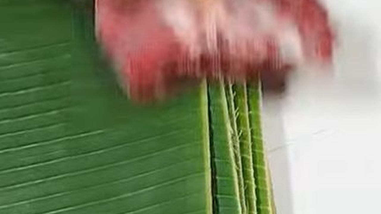 Bersihkan Daun Pisang