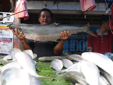 Pedagang menujukkan ikan badeng seberat 12 kilo di Rawa Belong, Jakarta, Senin (4/2). Jelang tahun baru Imlek penjual Ikan bandeng menjamur di Jalan Rawa Belong dan dibanderol harganya mulai dari Rp 50.000 per kilogram. (Liputan6.com/Herman Zakharia)