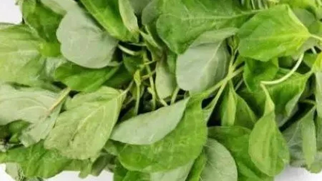 Daun Bayam