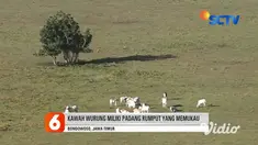 Di Bondowoso terdapat pesona bukit yang menyegarkan mata dan pikiran sejenak yaitu Kawah Wurung. Untuk masuk ke Kawah Wurung, pengunjung cukup membayar tiket seharga Rp 5.000. Kawah Wurung berada di atas ketinggian 1.500 meter di atas permukaan laut.