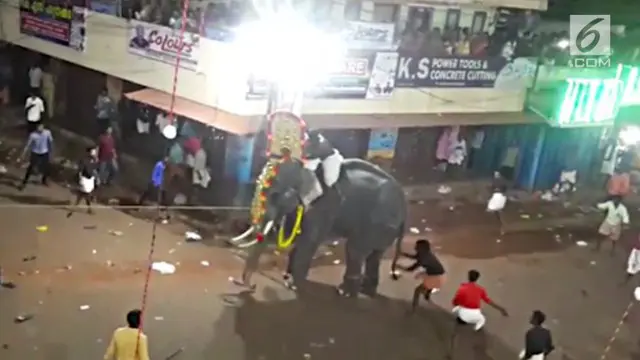 Seekor gajah mengamuk saat upacara di kuil, India. Untuk menjinakannya, sang gajah akhirnya disuntik obat penenang.