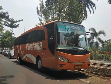 Yang pertama adalah Jetbus generasi pertama. Bus ini hadir dalam dua varian yaitu Non High Deck dan High Deck. Bus ini menggunakan lampu Headlamp halogen berbentuk daun, namun sudah ada sedikit sentuhan LED yang terletak pada bagian atas lampunya. Tak hanya itu, Lampu belakang yang berukuran cukup besar juga masih menggunakan bohlam dan terlihat menyambung. Sementara pada bagian pilarnya menggunakan pilar yang terinspirasi dari bus Mercedes-Benz Travego dari Eropa.
