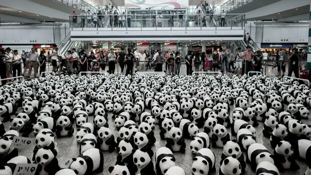 Ribuan Panda Mejeng di Bandara Hong Kong