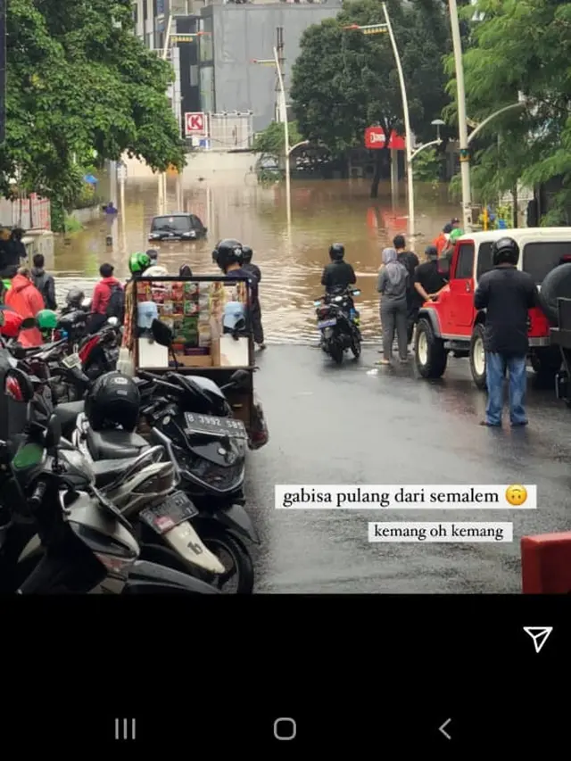 Anya Geraldine membagikan informasi dirinya terkena dampak banjir di Kemang, Jakarta Selatan (Instagram Stories)