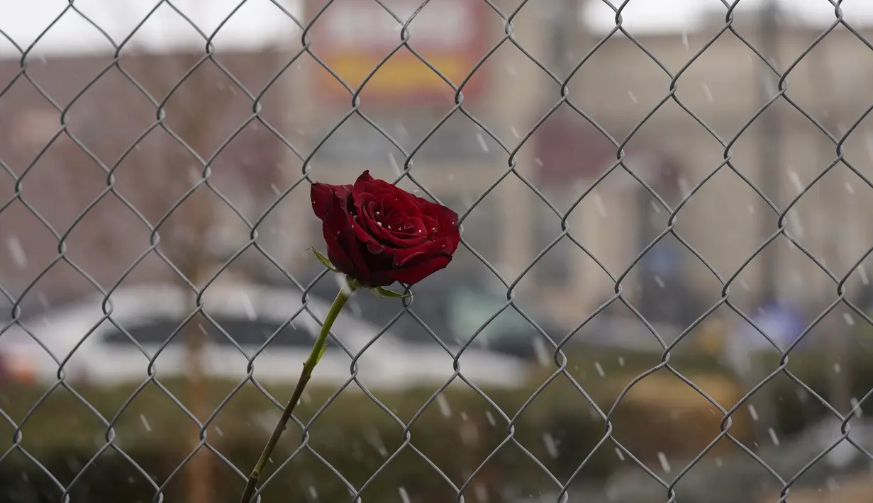 Mawar merah terlihat saat salju turun di pagar yang dipasang di sekitar tempat parkir tempat penembakan massal terjadi di toko kelontong King Soopers di Boulder, Colorado (23/3/2021). (AP Photo/David Zalubowski)