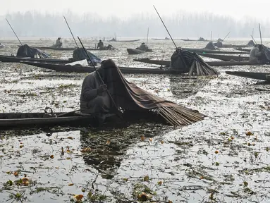 Nelayan Kashmir menutupi kepala dan sebagian tubuhnya ketika menangkap ikan di Danau Anchar, pinggiran Srinagar, India, 28 Desember 2017. Cara unik itu merupakan taktik mereka untuk menangkap ikan yang sudah dilakukan turun temurun. (TAUSEEF MUSTAFA/AFP)