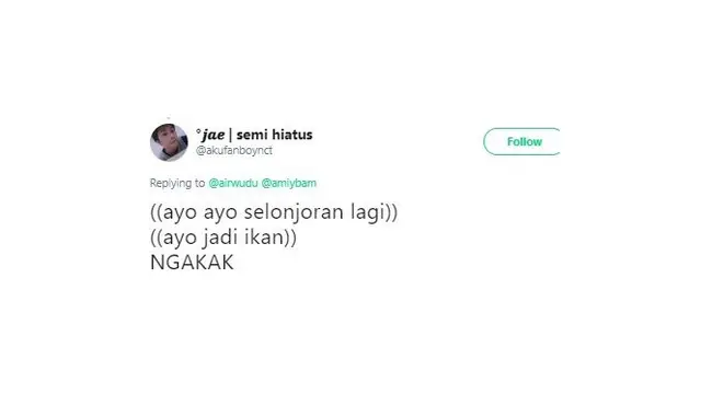 kostum putri duyung