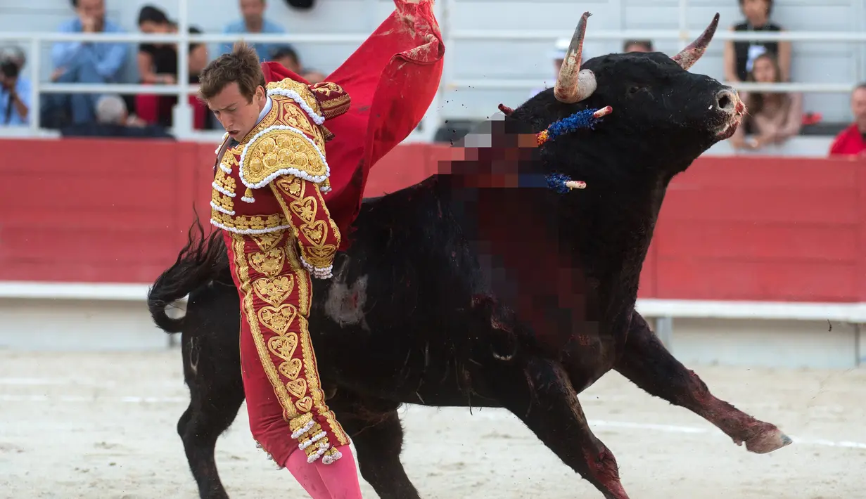 Matador Spanyol, Roman berusaha berhasil menghindari tandukan banteng saat The Easter Feria di Arles, Perancis, Senin (18/4). Perayaan ini menjadi kesempatan bagi warga setempat untuk menikmati liburan panjang Paskah. (AFP PHOTO / BERTRAND LANGLOIS)
