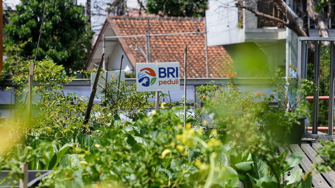 BRI Peduli Tegaskan Komitmen Dukung Ketahanan Pangan Melalui Panen Raya BRInita