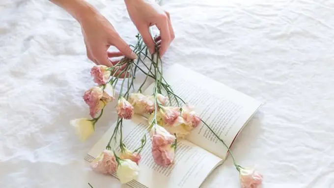 Ilustrasi./Copyright pexels.com