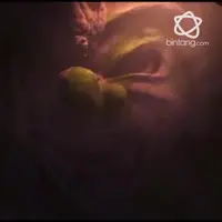 Menyukai film anak-anak membuat Stella Cornelia memilih menjadi pengisi suara di Film  animasi Knight Kris.