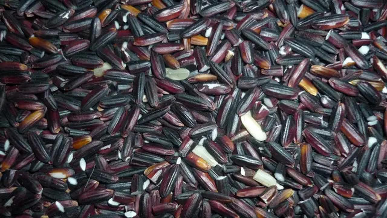 Trik Memasak Ketan Hitam Tanpa Direndam, Hemat Waktu dan Gas