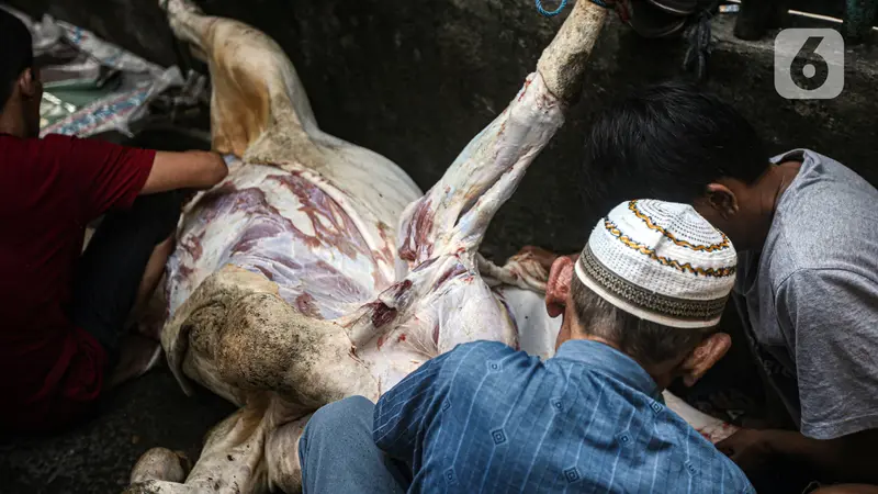 FOTO: Berbagi Daging Hewan Kurban di Momen Idul Adha