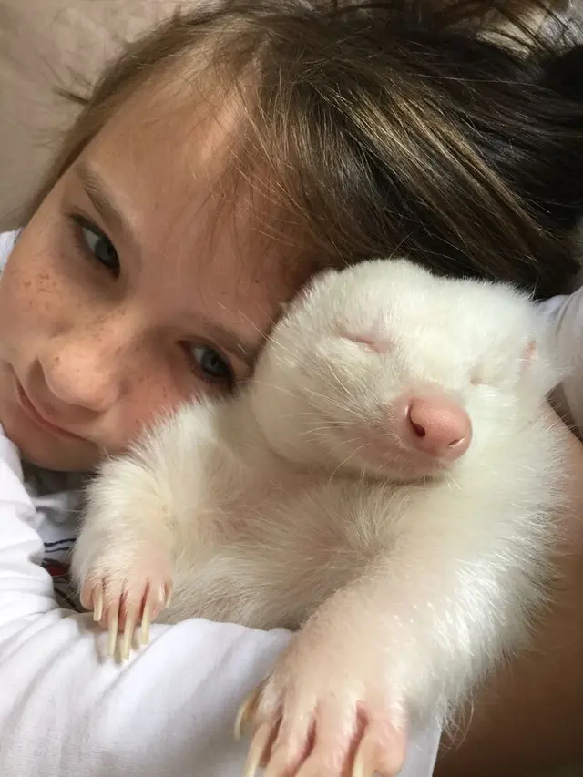 10 Potret Hewan Albino Langka Ini Makin Menarik Perhatian