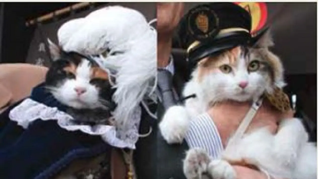 Kucing Kepala Stasiun Wakayama
