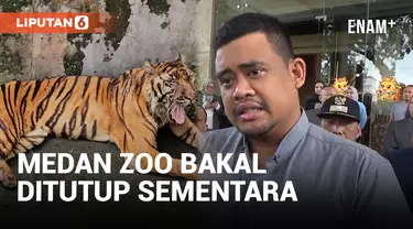 Bakal Direnovasi, Bobby Nasution Umumkan Medan Zoo Akan Ditutup Sementara