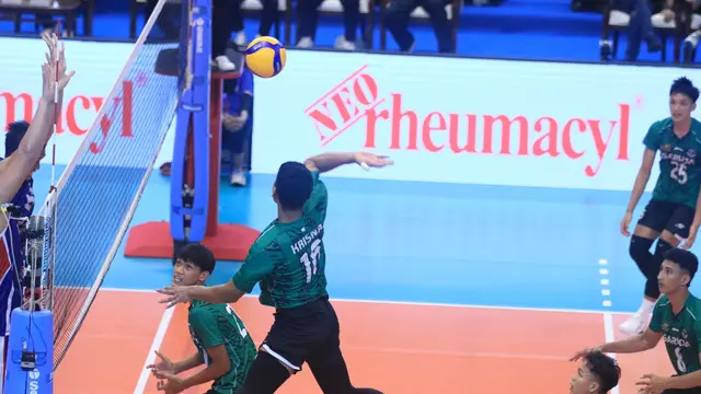 PLN Mobile Proliga 2024