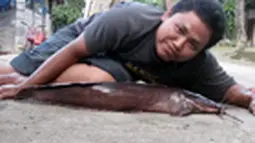 liputan6