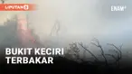 Kebakaran di Kawasan Bromo Meluas Hingga ke Bukit Keciri