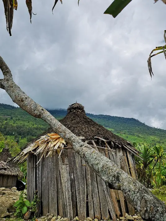Rumah tradisional Papua atau honai di Distrik Puldama, Kabupaten Yahukimo, Provinsi Papua. Sebelumnya, dari generasi ke generasi tempat ini tak pernah tersentuh penerangan lampu listrik. (Liputan6.com/HO/Hadi M Juraid)