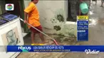 Fokus Pagi menyajikan beberapa tema berita sebagai berikut, Pabrik Pengolahan Kayu Terbakar, Banjir Melanda Pantura Jawa Barat, Pemasok Ekstasi Ke Ridho Rhoma Diburu Polisi, Berburu Ikan Bandeng Jumbo Untuk Imlek.