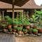 Mini Food Forest di Teras Rumah Kampung (Foto: Gemini AI)