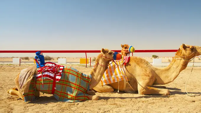 Courtesy ShutterStock.com