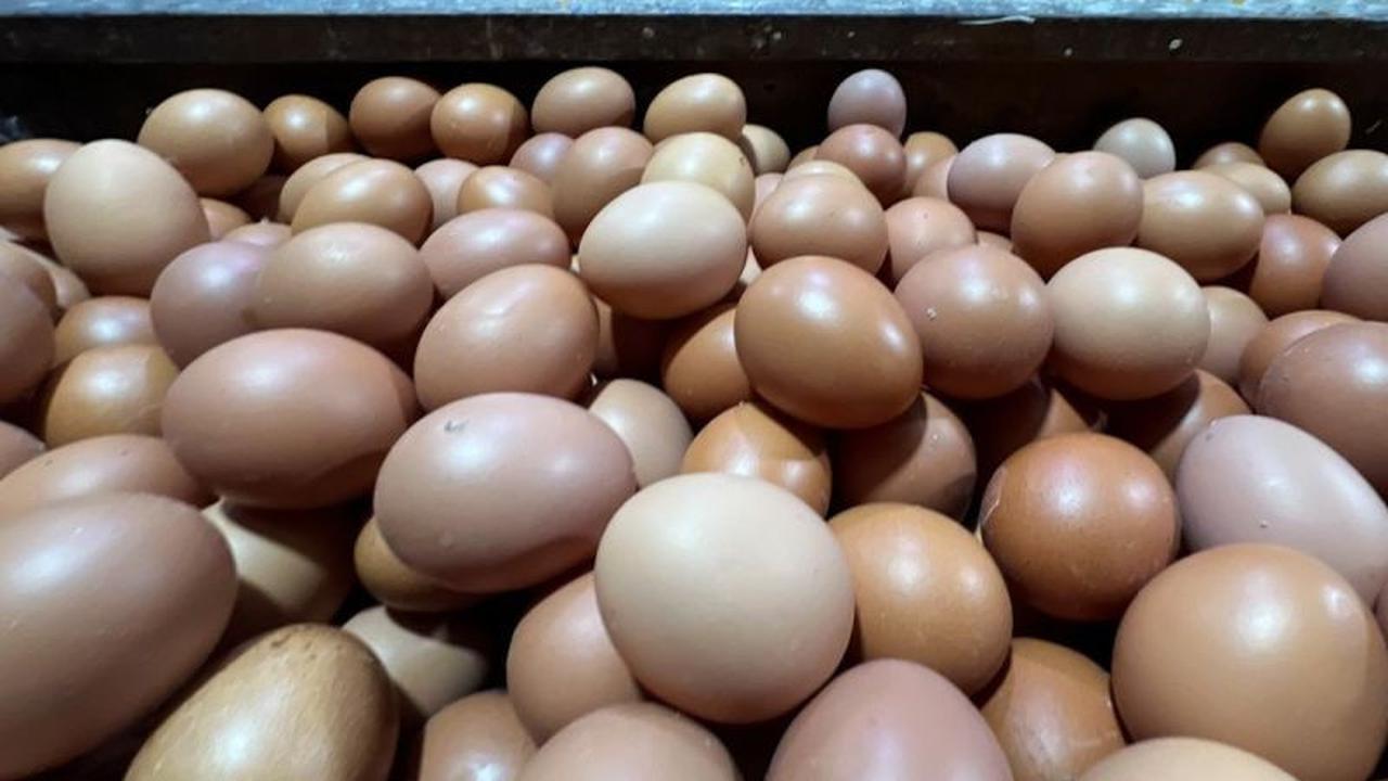 Update Terkini Harga Pangan Strategis: Telur Ayam dan Bawang Merah Stabil Tinggi di Sabtu Pagi