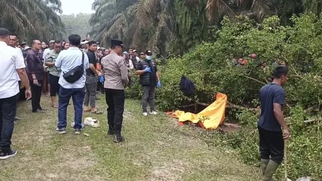 Lokasi penemuan sesosok mayat pria yang terbujur kaku di dalam parit area perkebunan sawit. (Liputan6.com/Reza)
