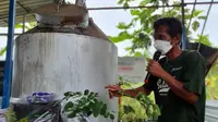 Cara Pertamina EP Sangasanga Field Bantu Petani di Kutai Kartanegara Dongkrak Pendapatan