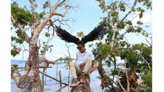 Cowok Ini Minta Fotonya di Atas Pohon Diedit, 6 Kreasi Netizen Kocak