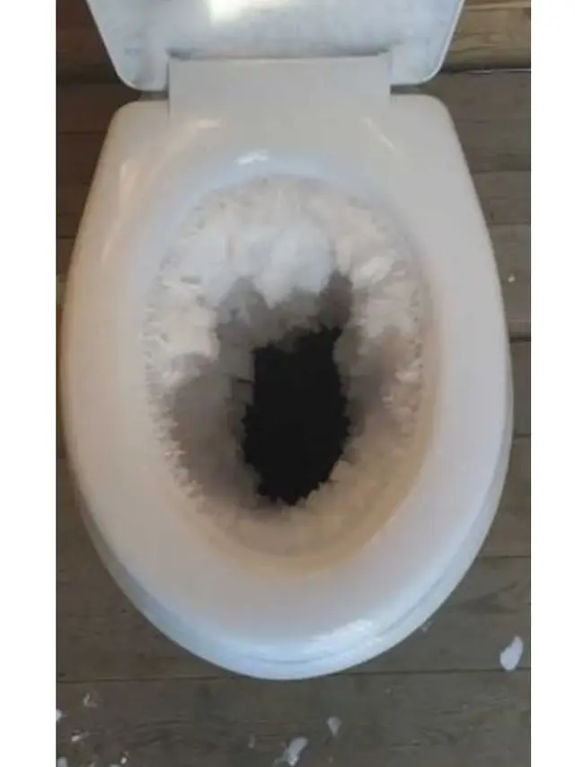 Polar Vortex Semua Membeku