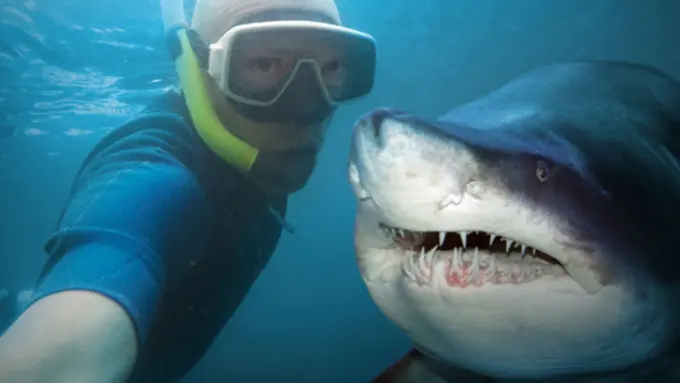 Foto Selfie Lebih Banyak Membunuh Orang Dibandingkan Ikan Hiu