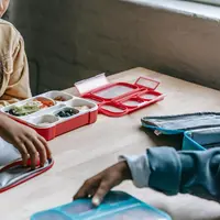 Bekal makan siang menjadi hal yang ditunggu saat bersekolah. (Foto: Pexels/Katerina Holmes)