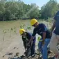 Penanaman mangrove di Pulau Balang. (Liputan6.com/ ist)