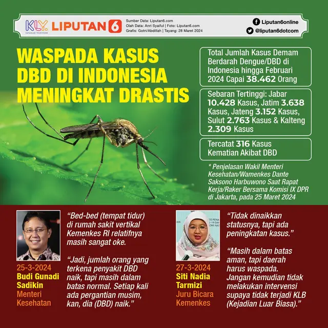Infografis Waspada Kasus DBD di Indonesia Meningkat Drastis. (Liputan6.com/Gotri/Abdillah)