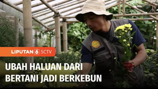 Awalnya Amir Nurdin bertani sayuran di Cianjur, Jawa Barat. Dirinya lantas melihat peluang tanah di desanya bisa untuk berkebun bunga krisan. Kegigihannya akhirnya membuahkan hasil dan mampu mempekerjakan warga sekitar.