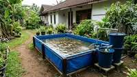 7 Ide Kolam Nila dengan Filter Sederhana untuk Rumah, Hemat dan Mudah Dirawat