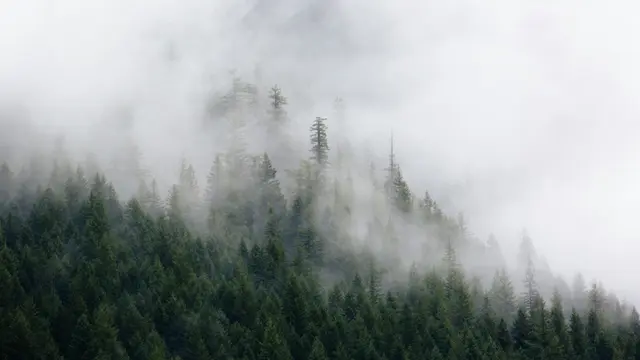 Ilustrasi kabut, pemandangan, menghilang
