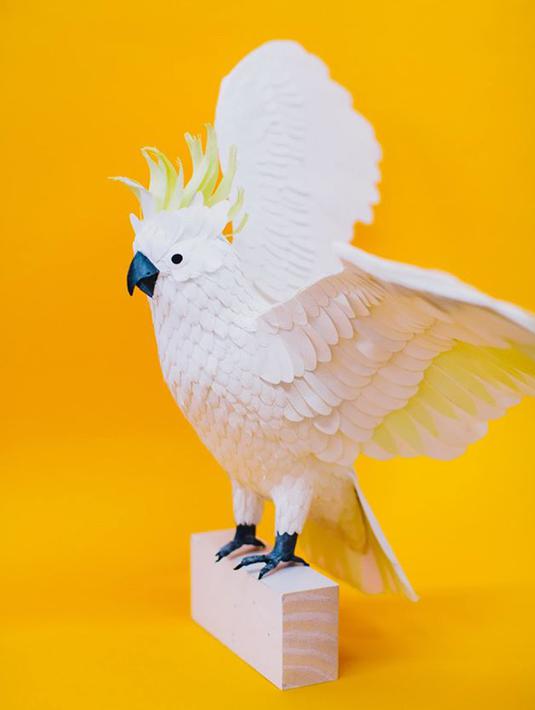 Melalui patung-patung burung yang dibuat, Diana ingin menunjukkan kepada setiap orang bahwa kita tak perlu memelihara burung atau binatang liar lain untuk menikmati keindahannya. (facebook.com/DianaBeltranHerrera)