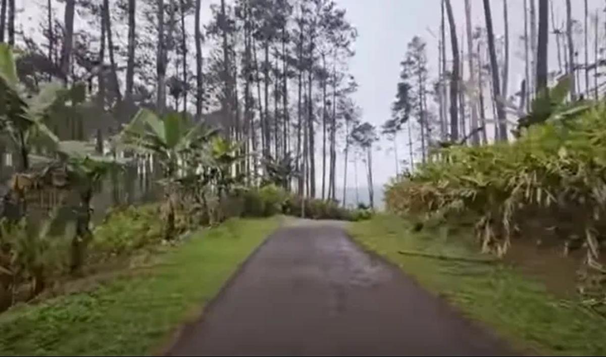 Akses Lewat Jalanan Sepi di Atas Ketinggian 1000 mdpl