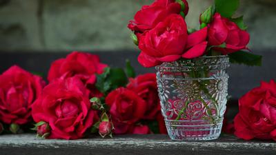 10 Cara Merawat Bunga Fresh Flower agar Tahan Lama, Trik untuk Hadiah Pacar