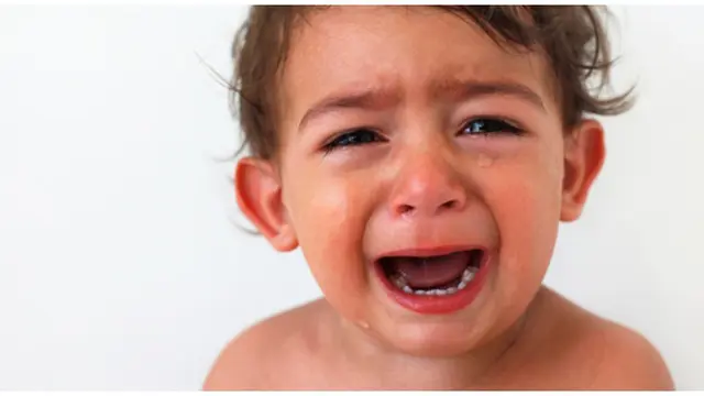 Foto: copyright thinkstockphotos.com