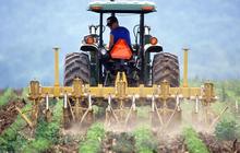 Ini Link, Syarat & Cara Daftar Petani Milenial, Bisa Dapat Gaji Rp10 Juta per Bulan