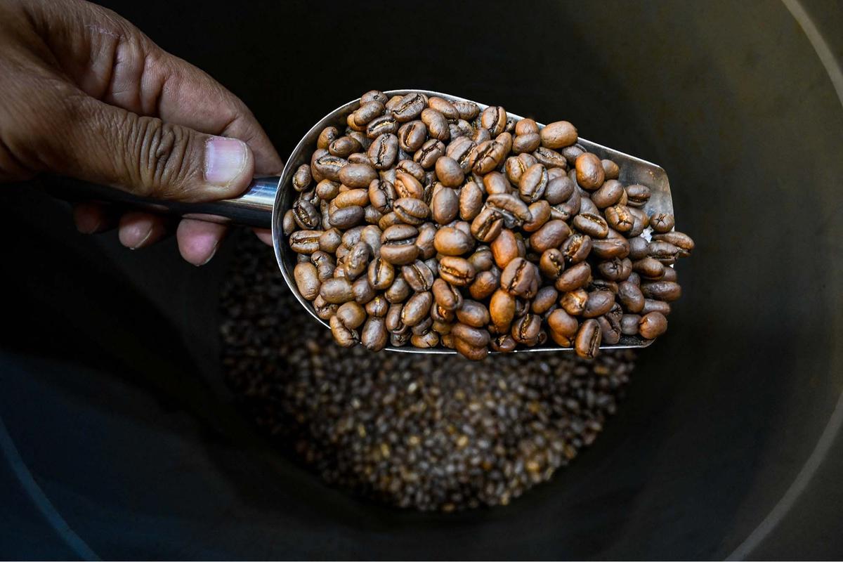 FOTO: Tarif Impor AS Ancam Industri Kopi Nusantara, Ekspor ke Negeri Paman Sam Bisa Terpukul