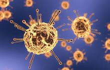 Virus Dinga Dinga, Penyebab Demam Ekstrem dan Gemetar pada Pengidapnya