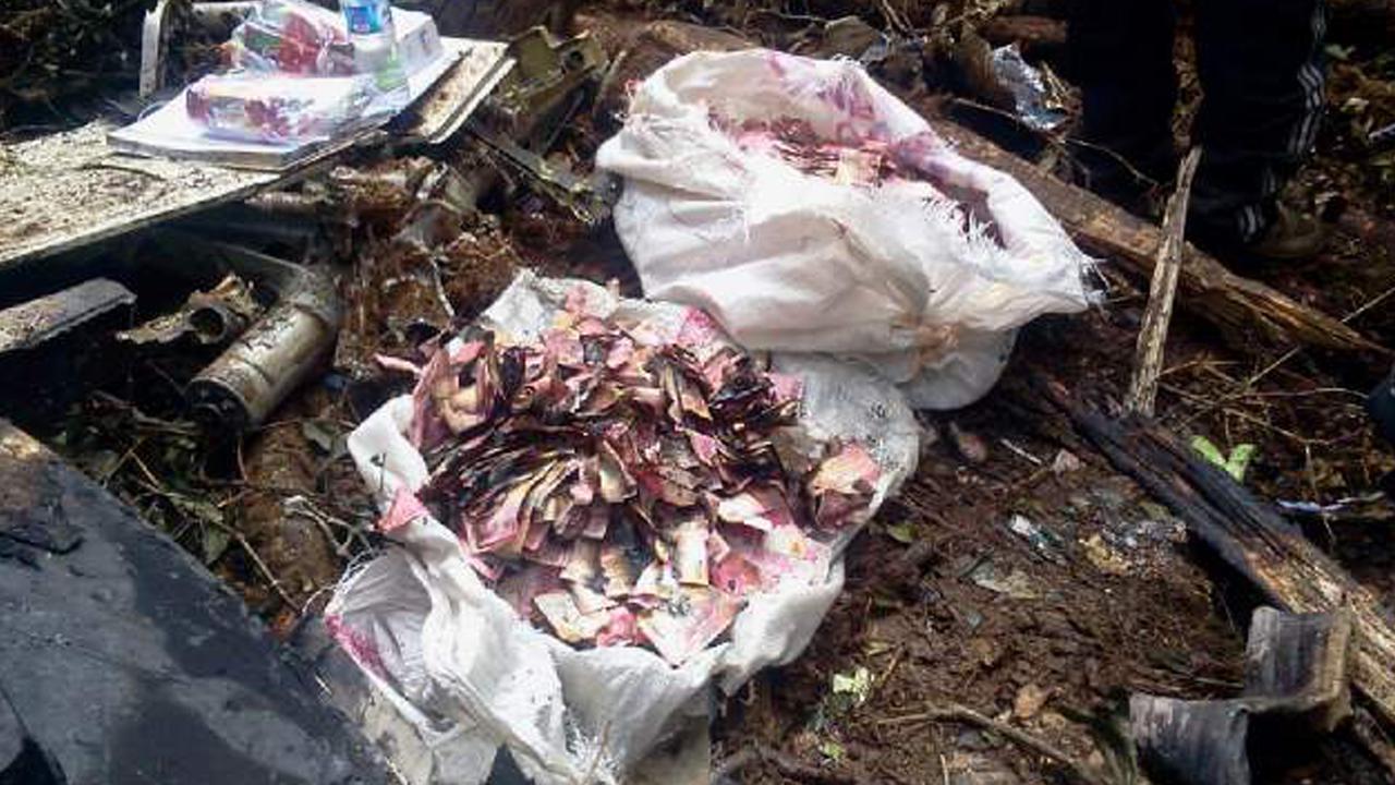 20150818-Pesawat Hancur, Uang Rp 6,5 M di Trigana Air Ditemukan Hangus-Papua