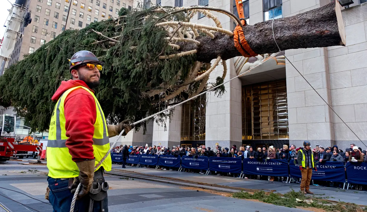 Pekerja bersiap memasang pohon Natal di Rockefeller Center, New York pada 9 November 2019. Pohon cemara Norwegia untuk menyambut Natal 2019 tersebut memiliki tinggi 77 kaki atau 12 meter dengan berat 77 ton yang akan dinyalakan pada 4 Desember mendatang. (AP Photo/Craig Ruttle)
