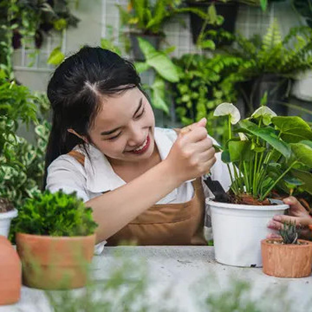 Studi: Orang yang Suka Berkebun Mungkin Memiliki Kualitas Tidur yang Lebih Baik
